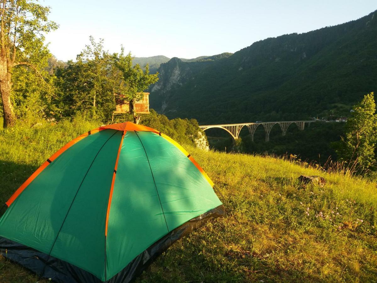 Kljajevica Orchard Guest House Pljevlja Eksteriør bilde